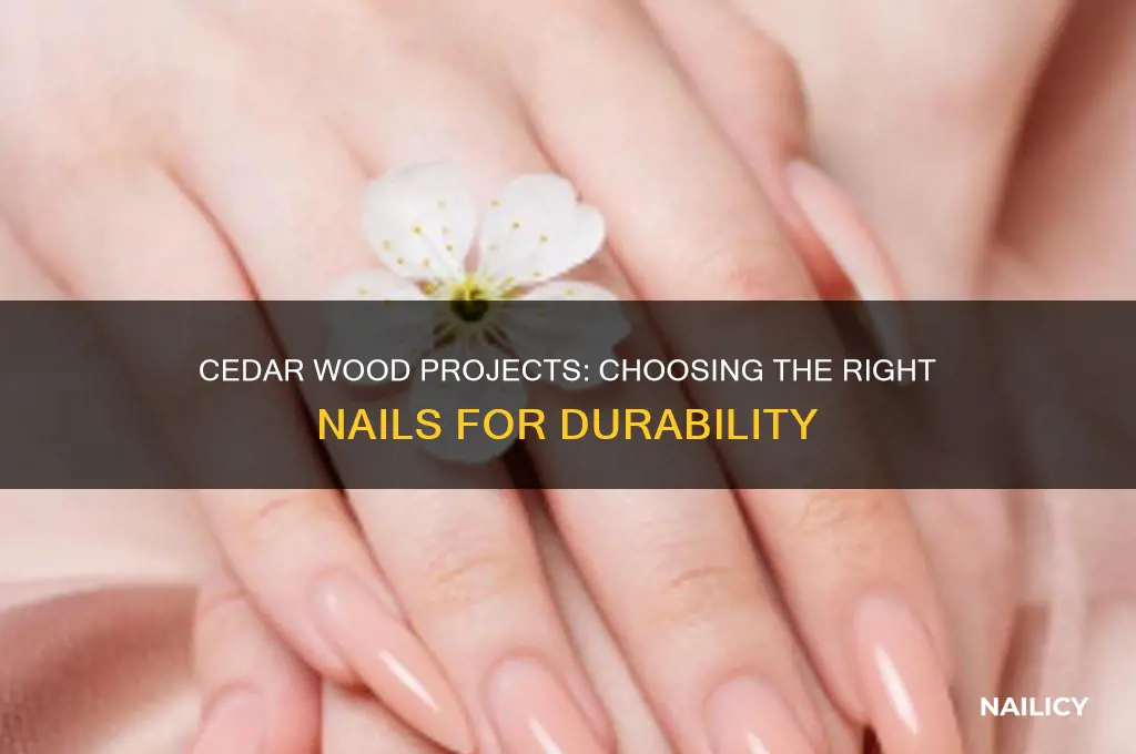 does cedar require special nails