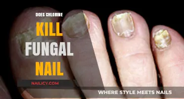 Chlorine and Fungal Nail Infections: Effective Treatment or Myth?
