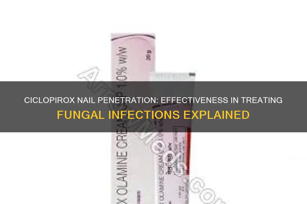 does ciclopirox penetrate the nail