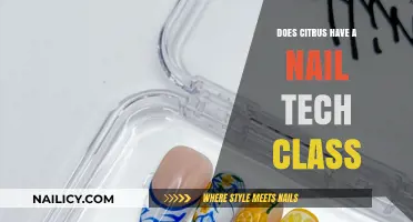 Does Citrus Offer Nail Tech Classes? Exploring Beauty Education Options