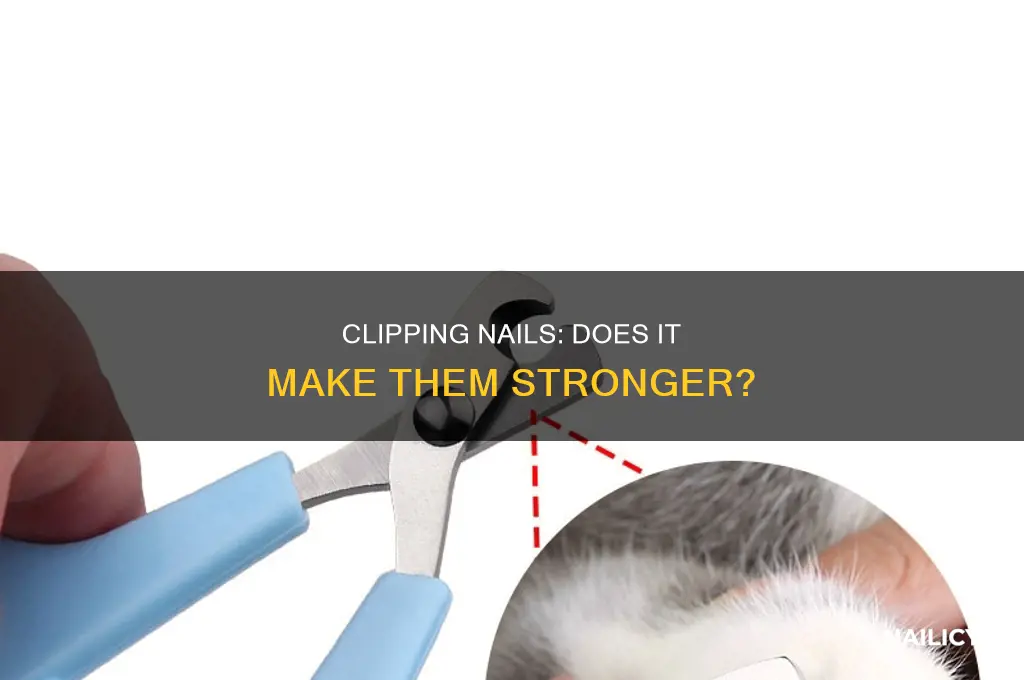 does clipping my nails make them stronger