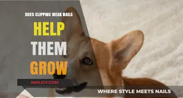 Clipping Weak Nails: Does it Help Them Grow Stronger?
