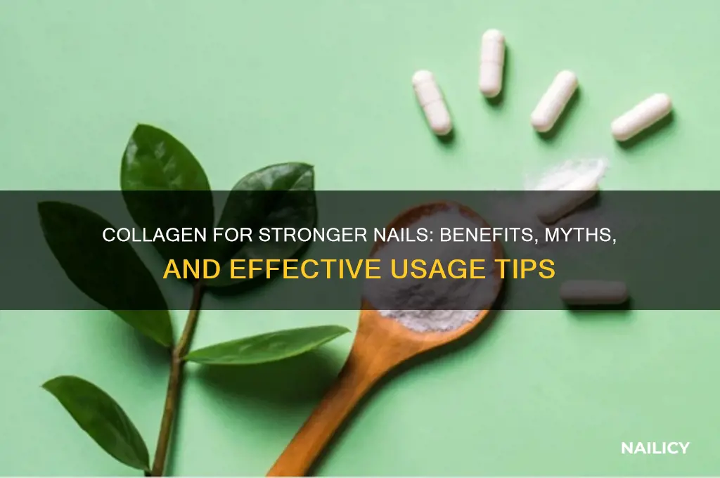 does collagen help nails