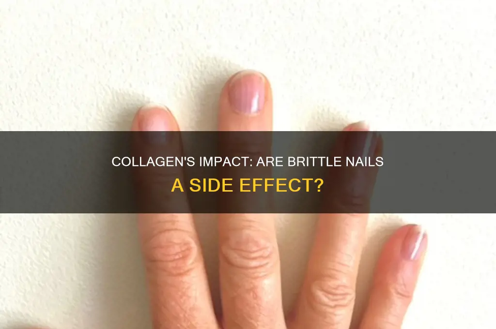 does collagen make your nails brittle