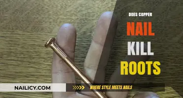 Copper Nail Root Control: Myth or Effective Solution for Killing Roots?