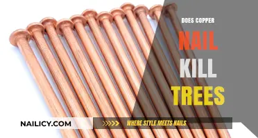Copper Nails in Trees: Effective Tree Killer or Harmless Myth?