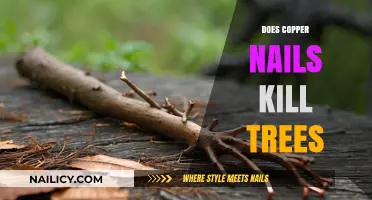 Copper Nails and Trees: Uncovering the Truth About Their Impact