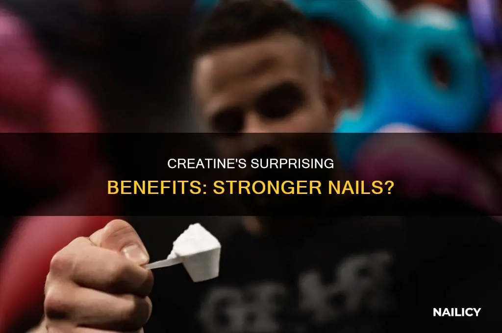does creatine make your nails stronger