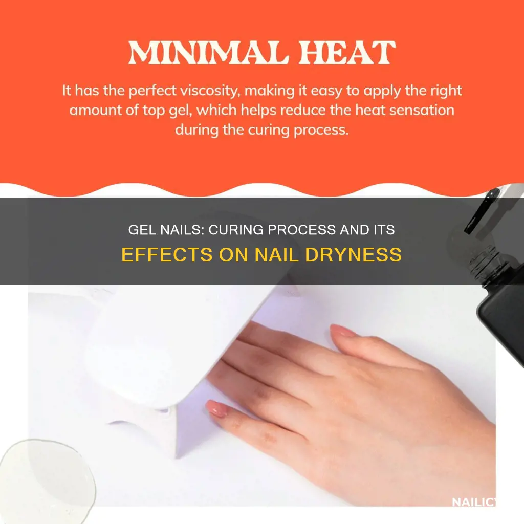 does curing gel nails dry them