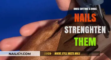 Trimming Dog Nails: Strengthening or Softening?