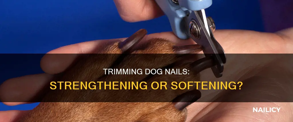does cutting a dogs nails strenghten them