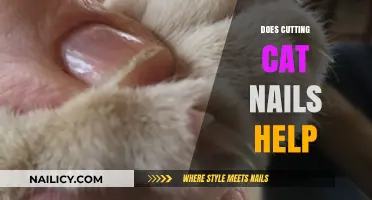 Trimming Cat Nails: A Necessary Task for Owners