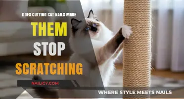 Trimmed Nails: Do Cats Still Scratch?