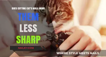 Trimming Cat Claws: Safe or Not?