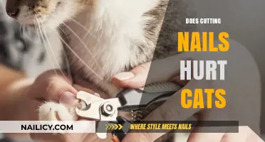 Clipping Cat Claws: Pain or Gain?
