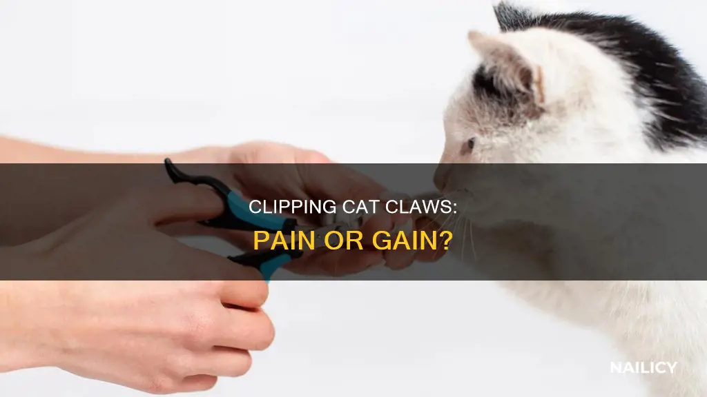 does cutting nails hurt cats