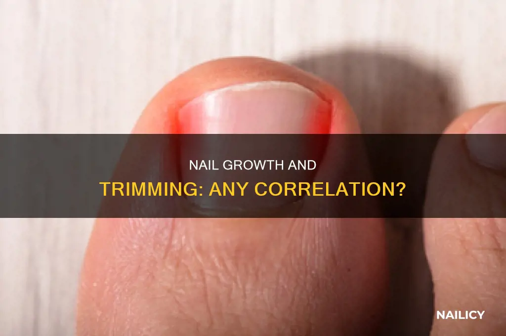 does cutting nails more often make them grow faster