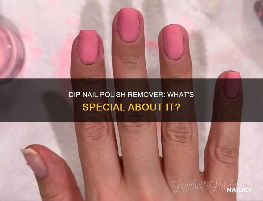 does dip nail polishrequire a certain type of polish remover