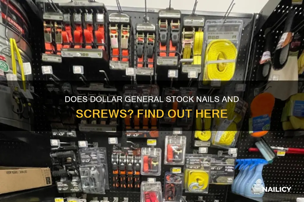does dollar general sell nails and screws