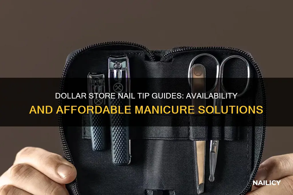 does dollar store carry nail tip guides