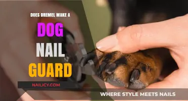 Dremel Dog Nail Guard: Does It Exist for Safe Grooming?