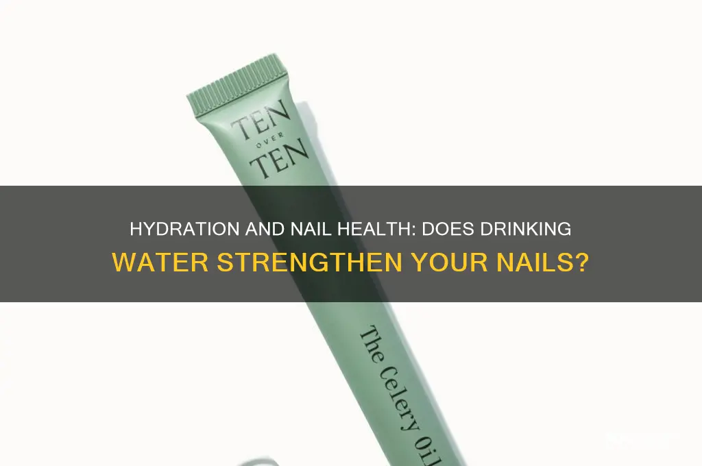 does drinking water affect the strength of nails