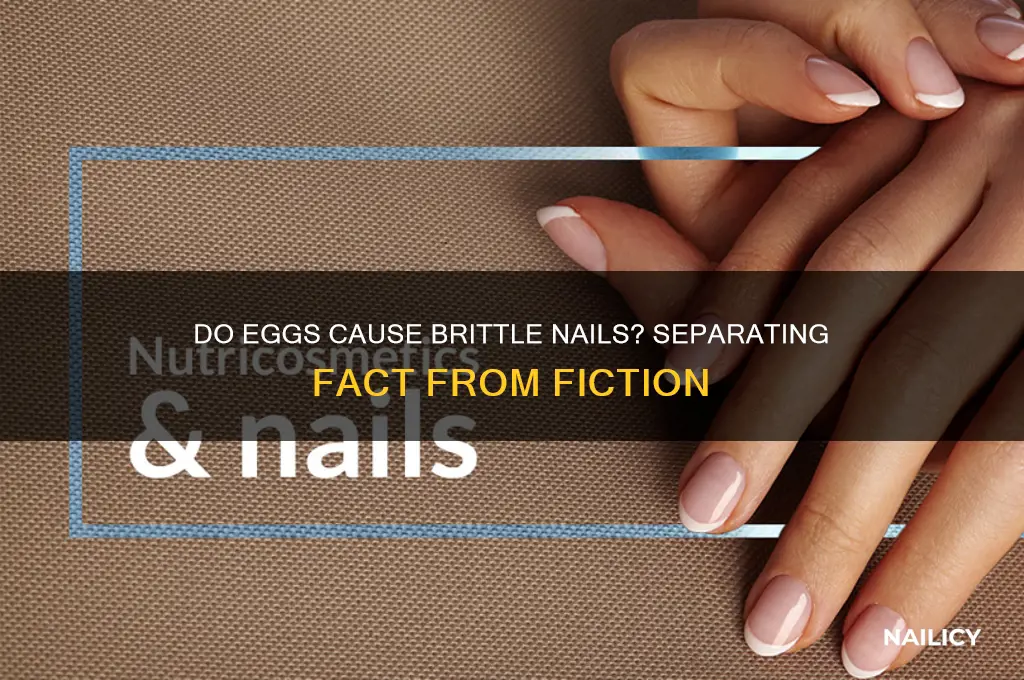 does eating eggs make your nails brittle