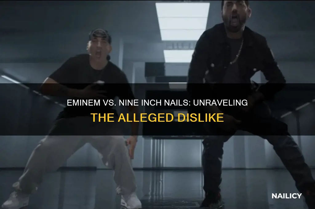 does eminem not like nine inch nails
