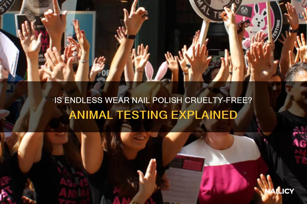 does endless wear nail polish test on animals