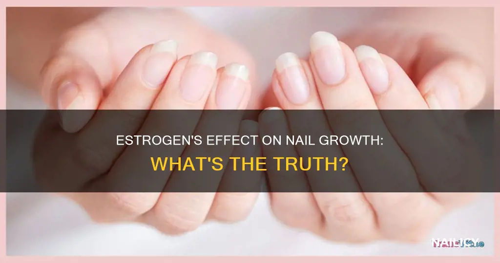 does estrogen make your nails grow
