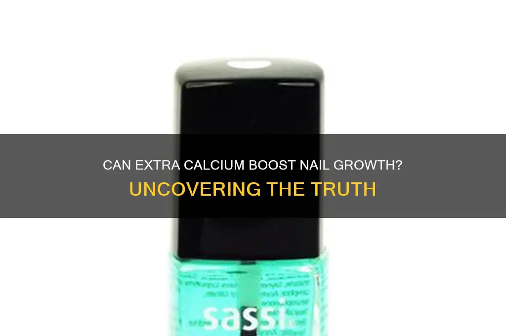 does extra calcium make your nails grow faster