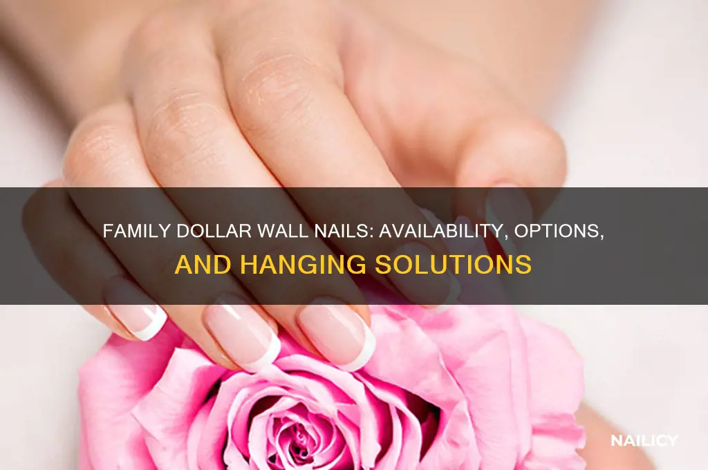 does family dollar have nails for walls