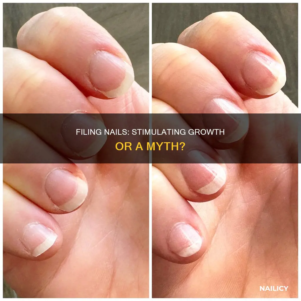 does filing nails make them grow faster