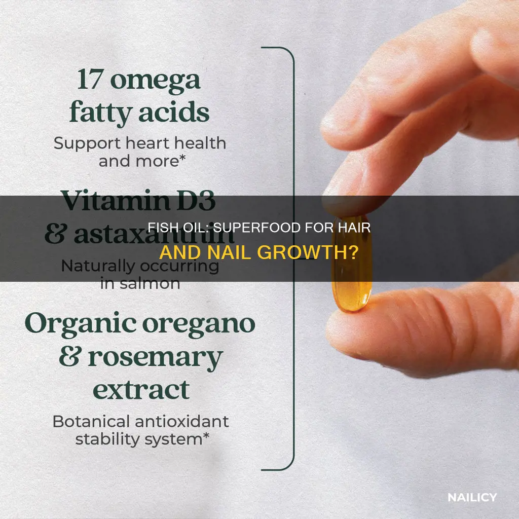 does fish oil make your hair and nails grow