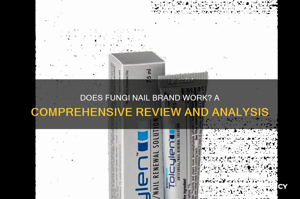 does fungi nail brand work
