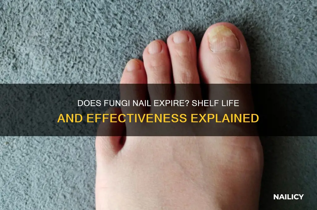 does fungi nail expire