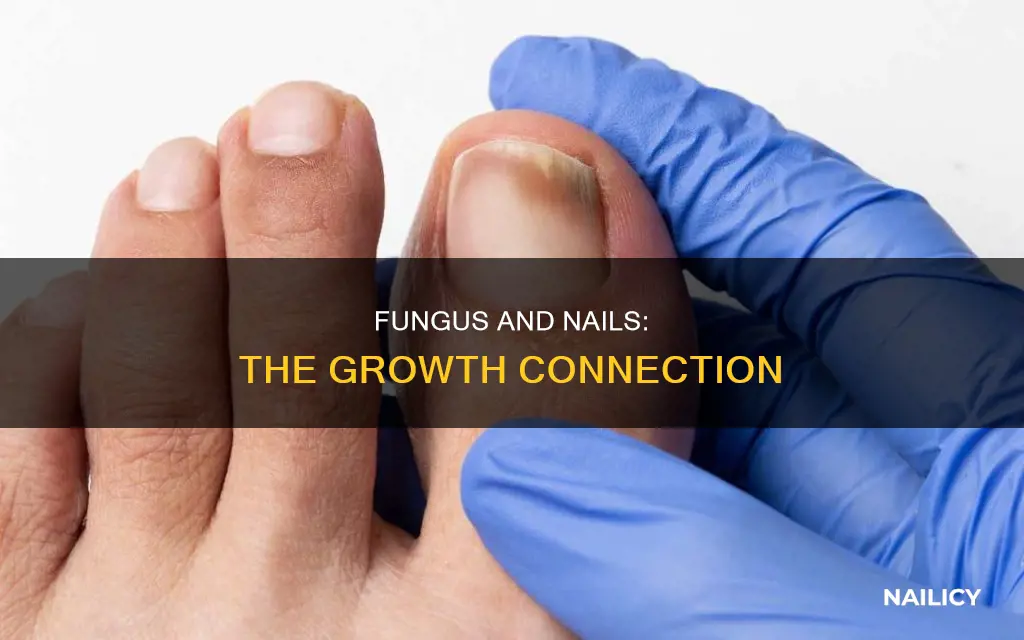 does fungus stop your nail from growing