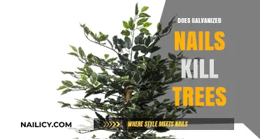 Galvanized Nails and Tree Health: Debunking Myths and Facts
