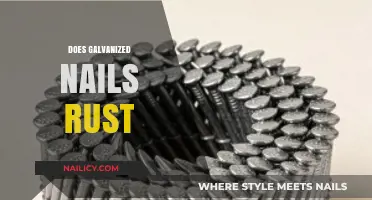 Do Galvanized Nails Rust? Understanding Their Durability and Longevity