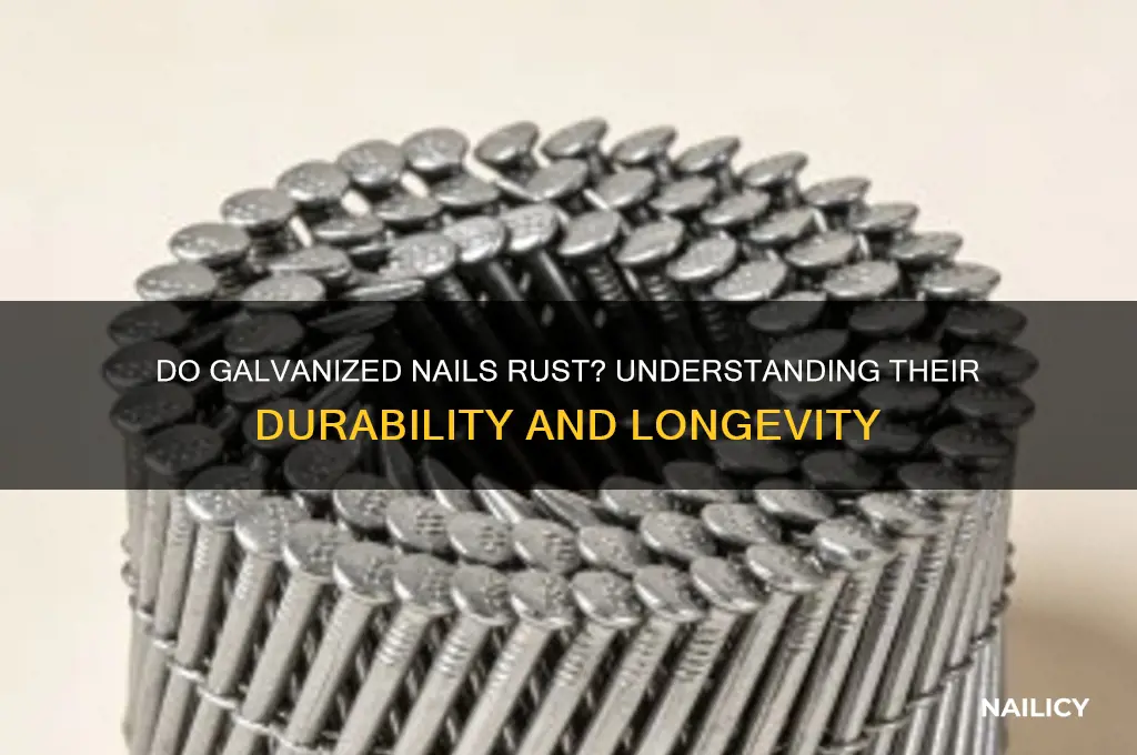 does galvanized nails rust