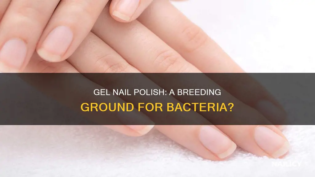 does gel nail polish harbor bacteria