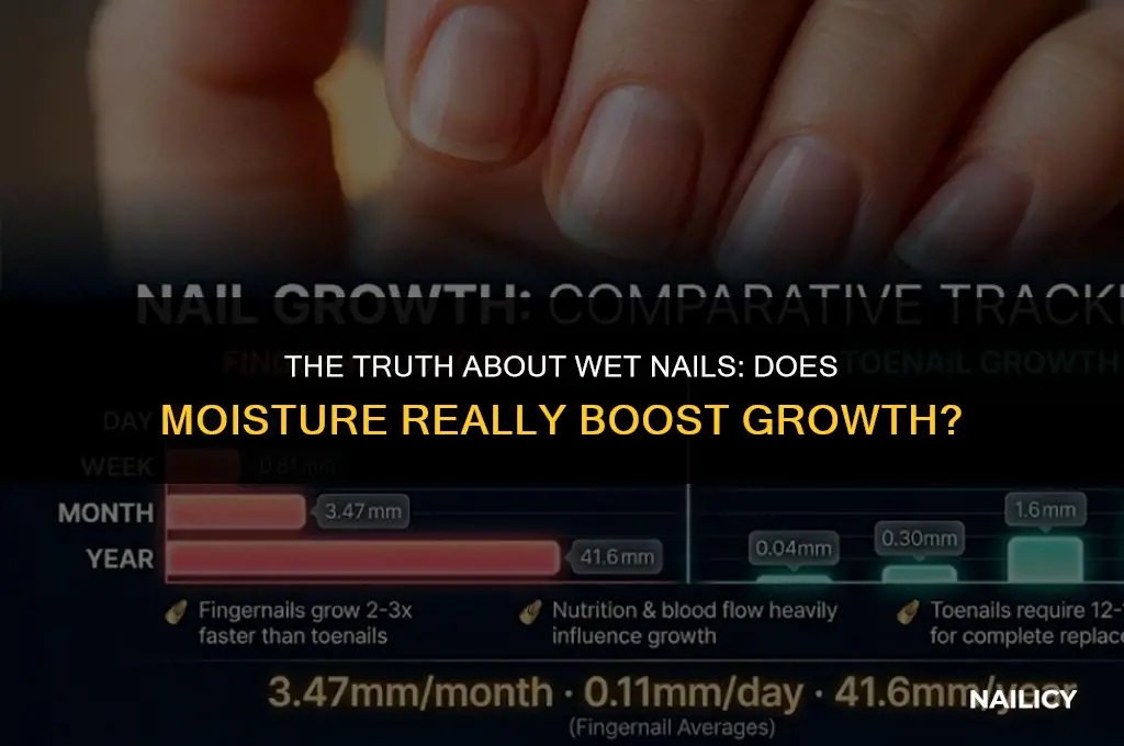 does getting your nails wet grow them