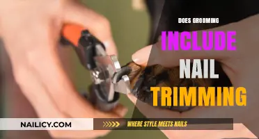 Grooming Basics: Nail Trimming Explained