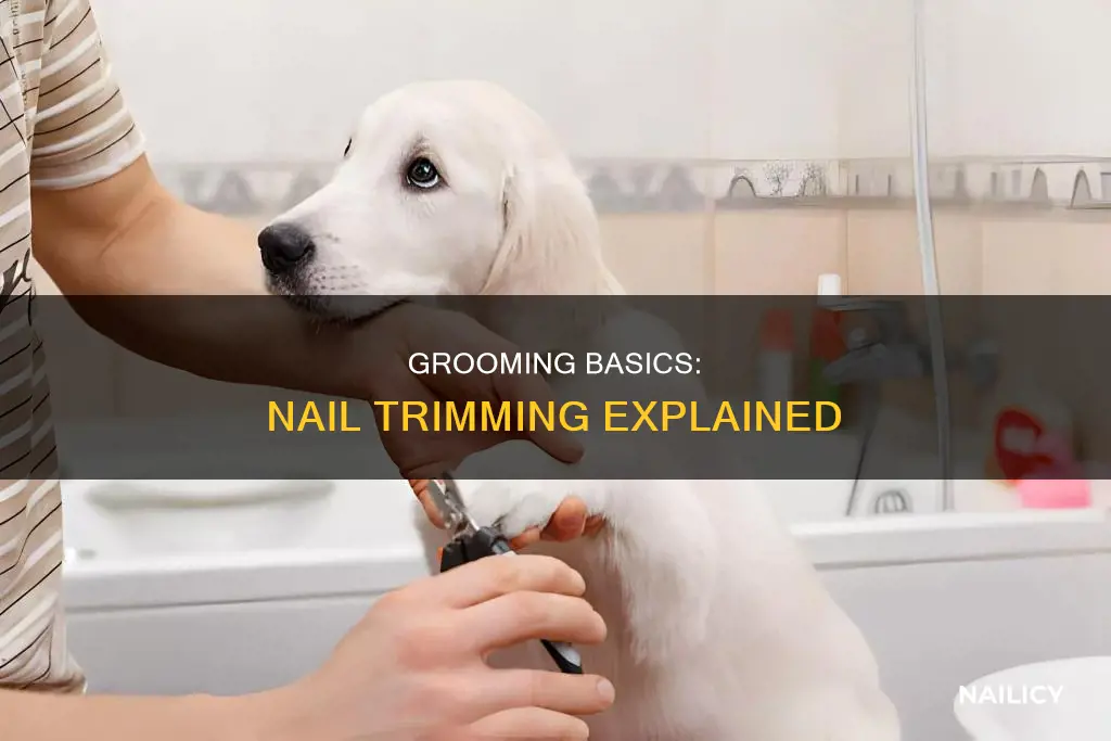 does grooming include nail trimming