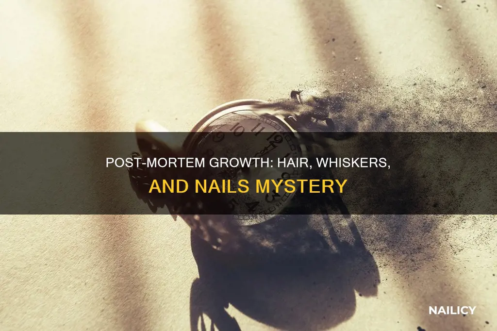 does hair whiskers and nails still grow after dezth