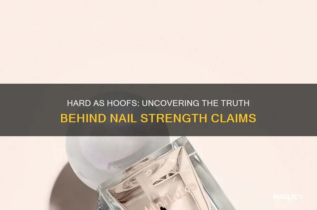does hard as hoofs really help nails
