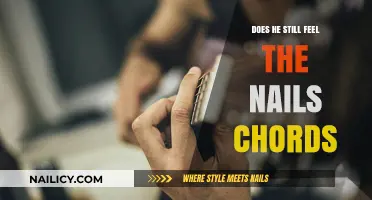 Does He Still Feel the Nails Chords: Unraveling the Emotional Melody