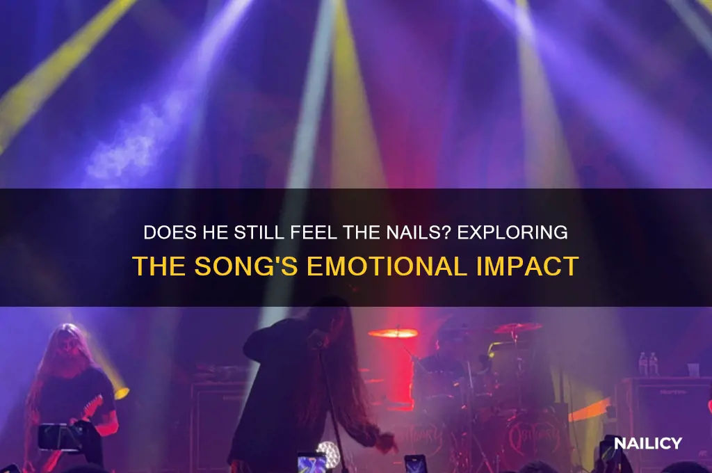 does he still feel the nails song