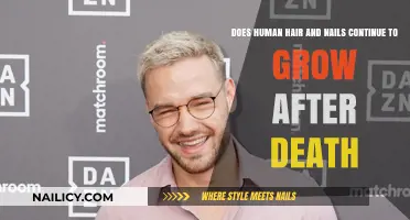 The Mystery of Postmortem Hair and Nail Growth