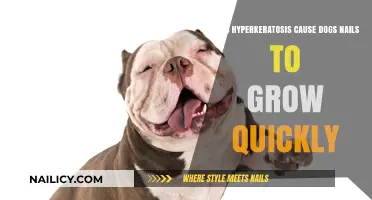 Hyperkeratosis and Dog Nails: Rapid Growth?